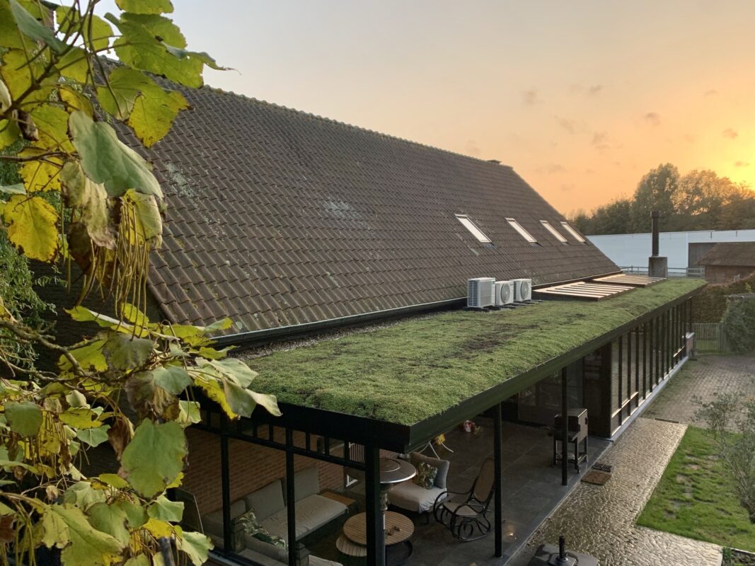 Moderne veranda met groendak